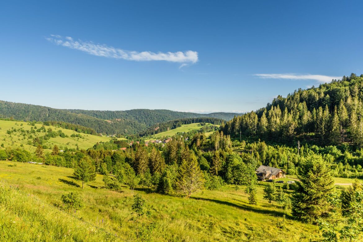 Arbeiten und durchatmen im Schwarzwald: Warum Ferienwohnungen mit Co-Working oft genau den richtigen Mittelweg schaffen